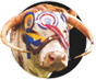 bottom-footer-logo-blackbrook-longhorn