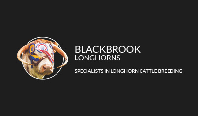 Blackbrook Longhorns Blackbrook Longhorns